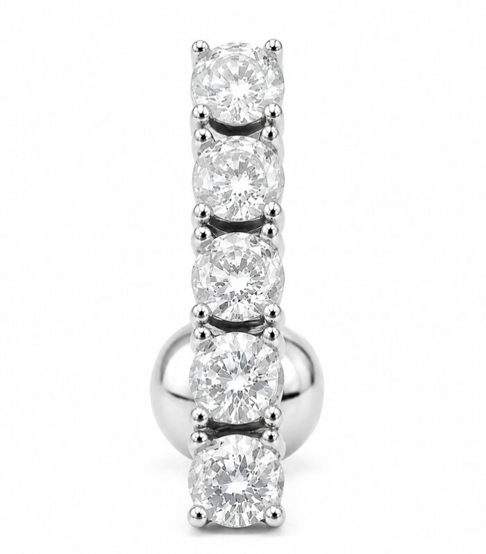 Five-Stone Curved Barbell Earring